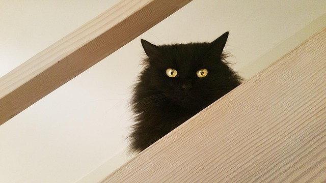 Black Friday: o consumidor quer desconto, mas exige uma boa experiência de compra