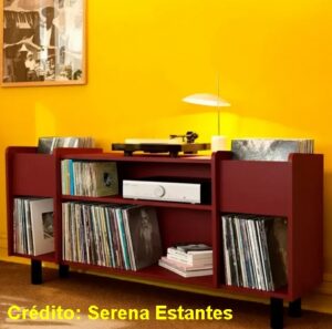 Colecionando música em discos