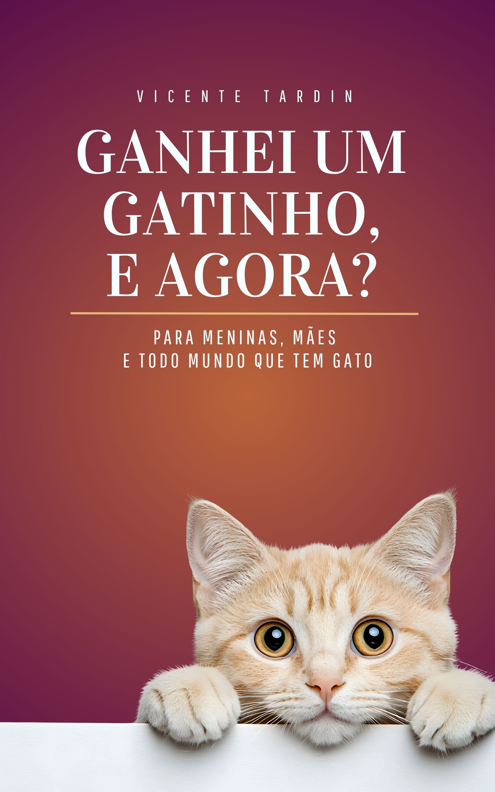 Ganhei um gatinho, e agora?