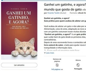 Meu primeiro e-book Kindle